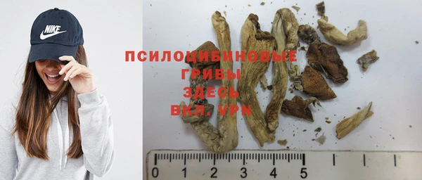 2c-b Липки