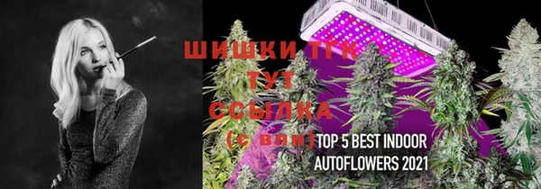 дурь Лиски