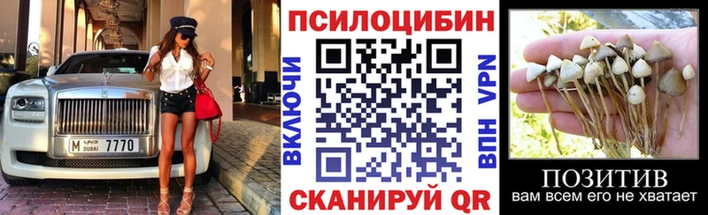 ОМГ ОМГ ссылки  Тихвин  Галлюциногенные грибы MAGIC MUSHROOMS 